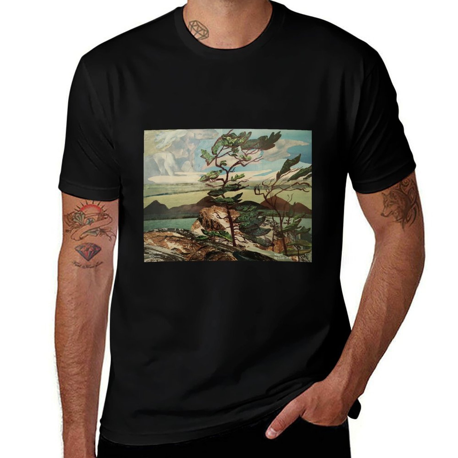 Landscape, Group of Seven, Whi - Outdoor Sportsman Group 评论和价格