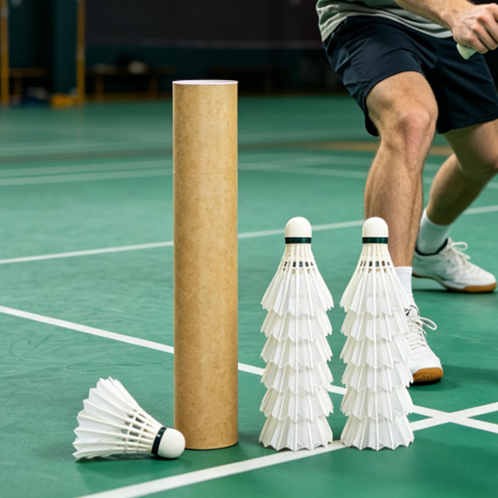 Badminton Shuttle Outdoor Trai - Outdoor Sportsman Group 评论和价格